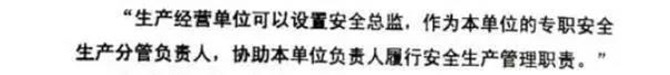 生產(chǎn)單位可以設(shè)置安全總監(jiān)